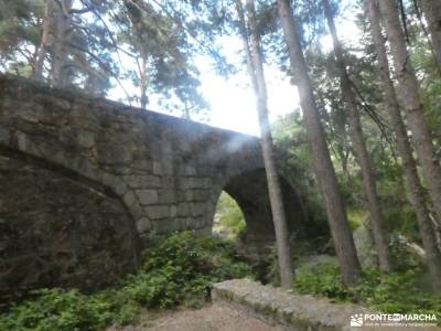Monte de Valsaín, Río Eresma -Pesquerías Reales;single madrid grupos cultura y viajes rutas y viajes